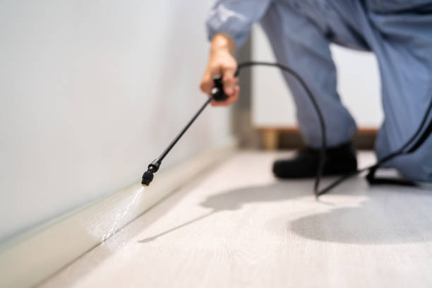 Licensed Pest Control service in Jesup, GA - Show Me Pest Control